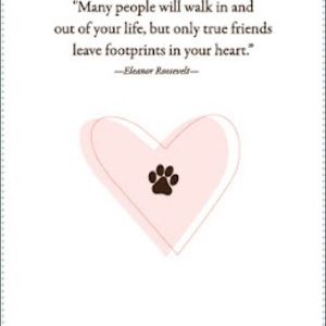 Meet your Posher, Danielle